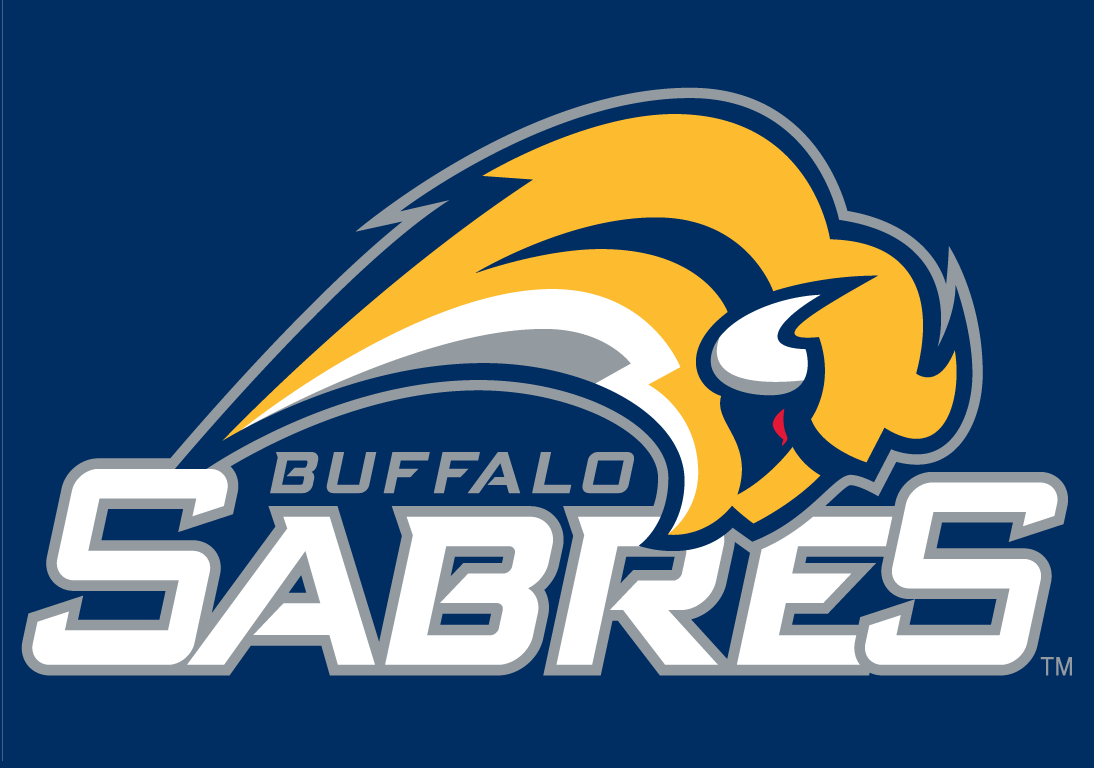 Buffalo Sabres 2006 07-2009 10 Wordmark Logo iron on paper